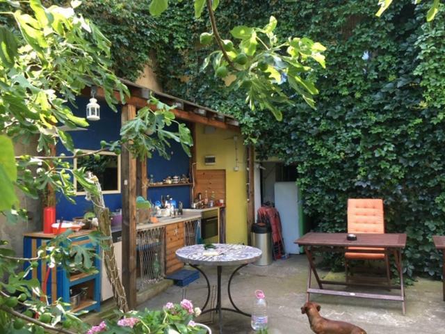 Hostel Del Mar Βάρνα Εξωτερικό φωτογραφία